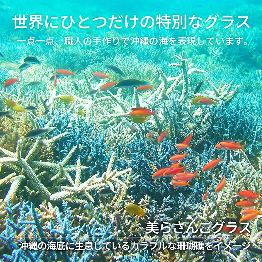 Amazon | 琉球ガラス 美らさんご 海底のカラフルな珊瑚を
